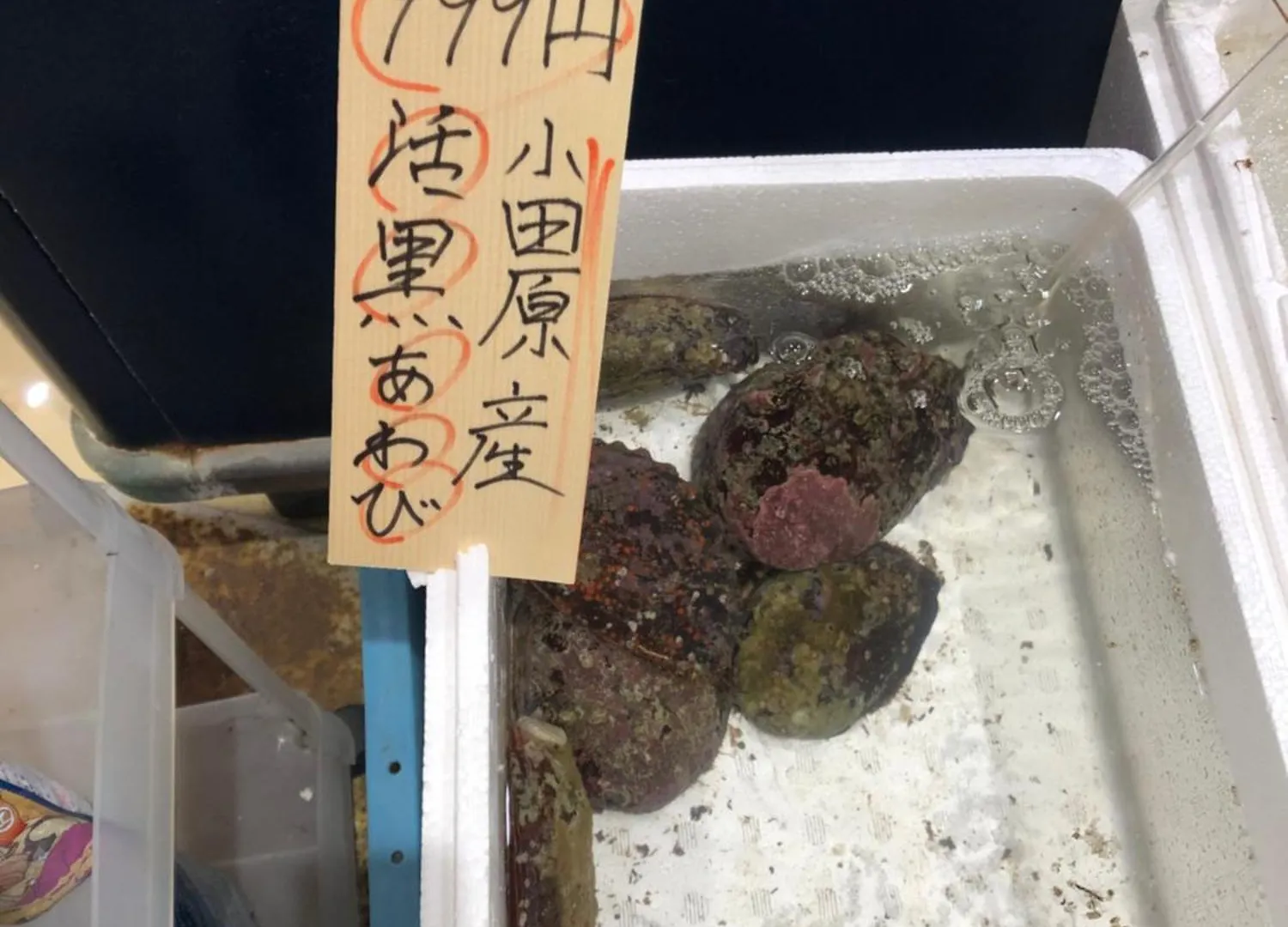 KamonomiyaShiamoterrace 小田原鴨宮アパートメント 0*, Kamonomiya 日本